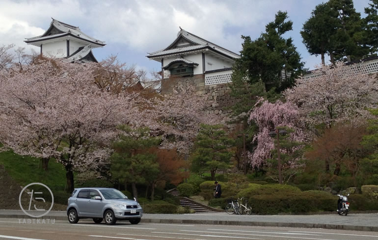 金沢城公園と桜