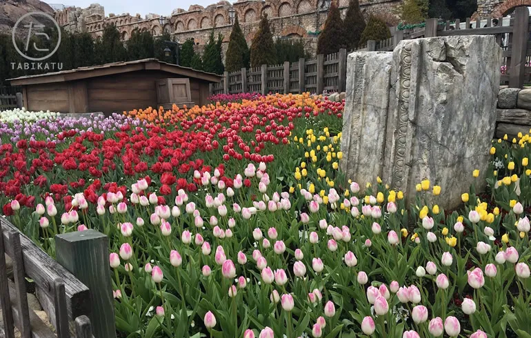 ザンビ坂の花壇