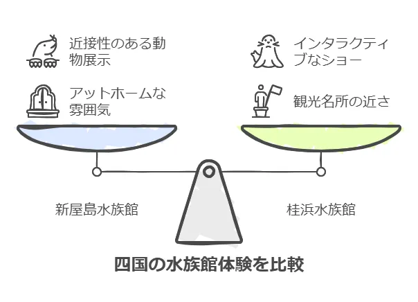 他の水族館と比べた四国水族館の特徴をレビュー<