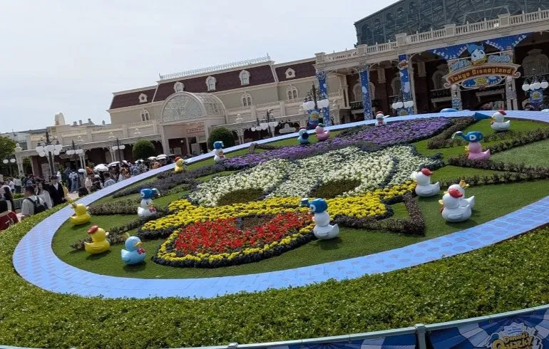 ドナルドの花壇