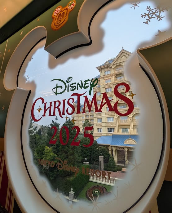 リゾートラインのクリスマスラッピング